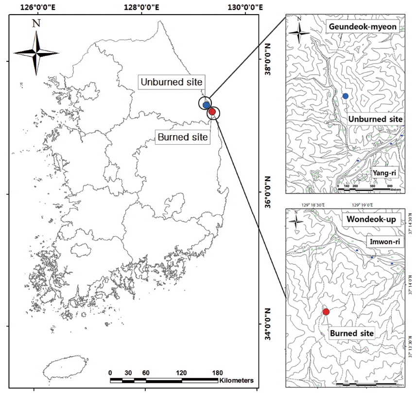 Map of the study area in Samcheck-si, Gangwon-do (blue dot indicates the unburned study site at Geundeok-myeon Yang-ri; red dot indicates the burned study site at Wondeok-up Imwon-ri).