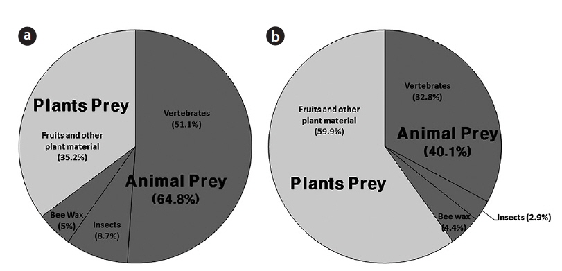 Taxonomic composition of Martes flavigula feces. (a) Dietary composition of the feces, (b) Dry weight (g) of the diet.