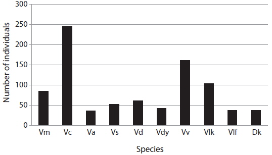 The numbers of Vespidae species collected from 61 traps in the southwestern part of JNP from July to September 2014. Vm, Vespa mandarinia; Vc, V. crabro; Va, V. analis; Vs, V. simillima; Vd, V. ducalis; Vdy, V. dybowskii; Vv, V. velutina; Vlk, Vespula koreensis; Vlf, Vl. flaviceps; Dk, Dolichovespula kuami.