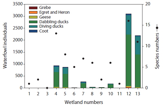 Numbers of individuals and species of waterfowl in study sites. Waterfowl were divided into six groups (grebes, egrets and herons, geese, dabbling ducks, diving ducks, and coots).
