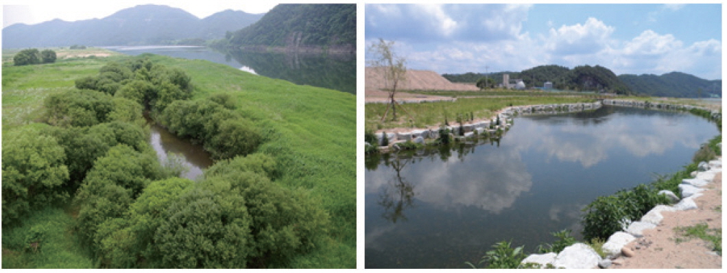 A panoramic view of some created wetlands with the lowest score for habitat assessment. The left picture shows a wetland with low heterogeneity in the surrounding area (Site 4), while the right picture shows a wetland with low habitat value for waterfowl along the shoreline and in the surrounding area (Site 13).