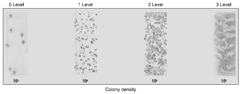 Changes of each step according to colony density23).