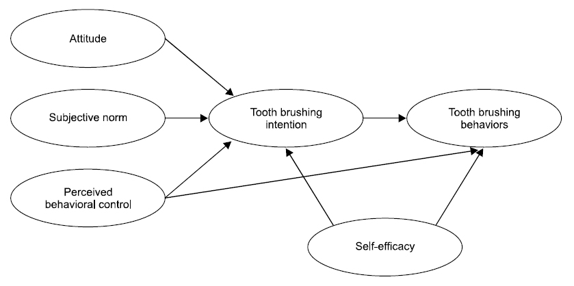 Study model based on the theory of planned behavior.