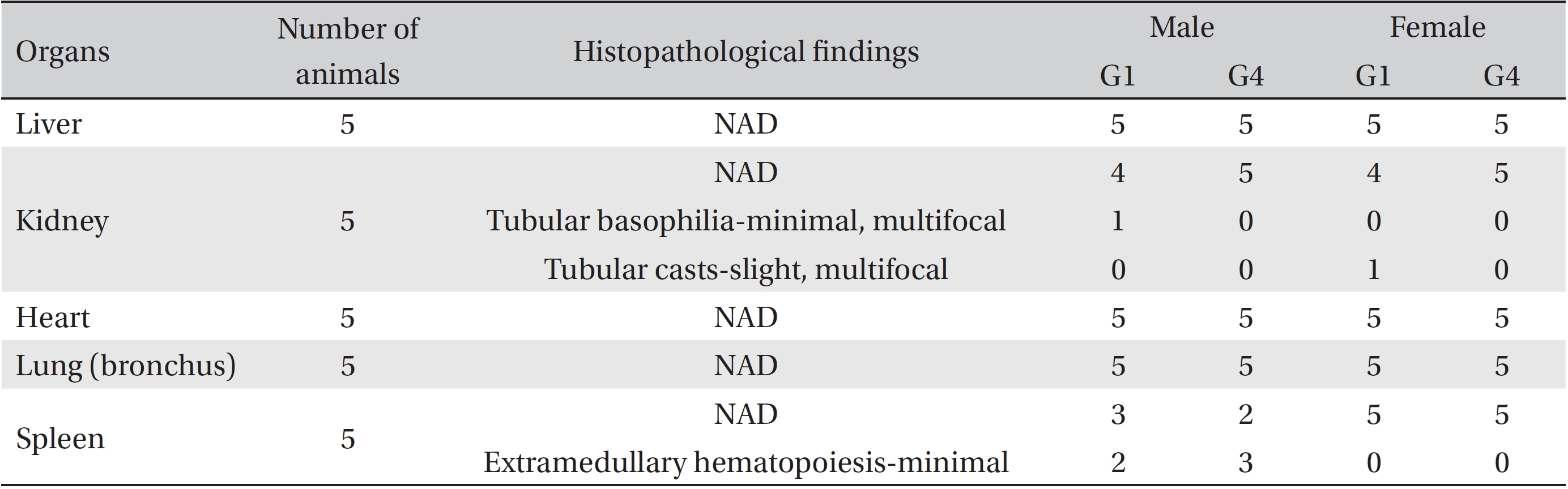 Histopathological findings of rats