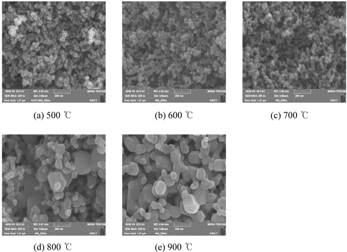 SEM images of samples according to the calcination temperature.