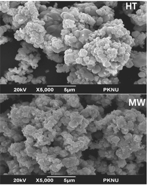 SEM images of PbMoO4 catalysts prepared by different method.