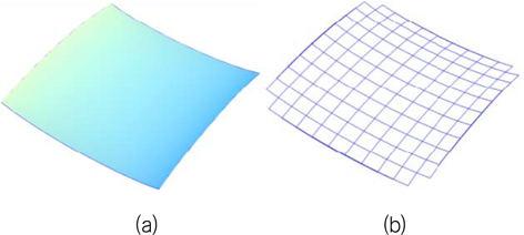 Saddle surface and principal curvature lines((a) model surface, (b) principal curvature line)