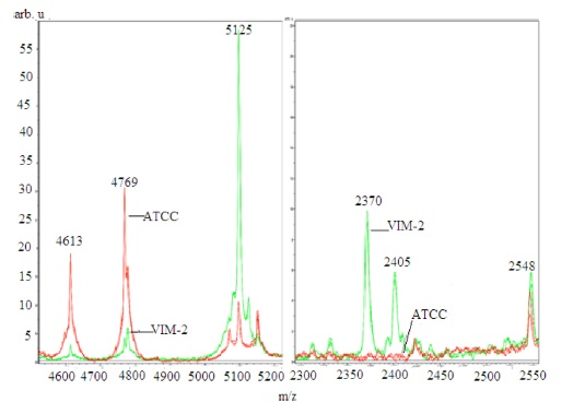 Comparison of ClinProTools peak picking (left) versus the visual peak picking (right). The ATCC 25922 type strain peaks are represented in red color and the carbapenemase producing VIM-2 in green color.