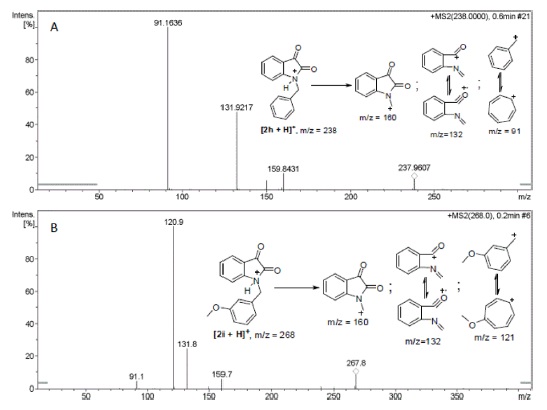 MS2 Fragmentation behavior of substituted N-benzyl isatin (2h-i): A) N-phenyl isatin (2h); B) N-(3-methoxy)phenyl isatin (2i).