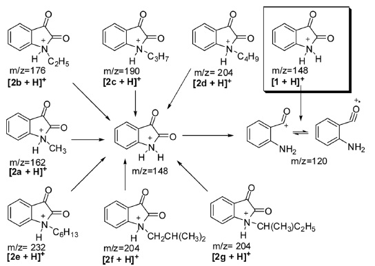 proposed MSn (MS2 and MS3) mechanism pattern of N-alkyl substituted isatin (2a-g).