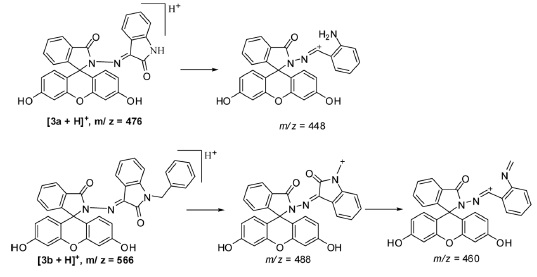 Proposed MSn mechanism behavior of fluorescein hydrazone isatin/benzyl isatin derivatives (3a-b)