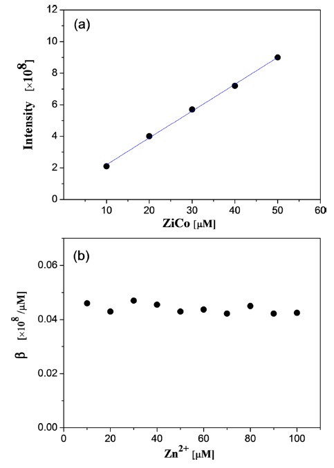 (a) The ion peak intensity of ZiCo peptide versus ZiCo concentration (10~50 μM); the slope yields response factor α. (b) Response factor β？ for ZiCo. The Zn2+ concentration varied from 10~100 μM.