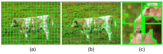 Split patches. (a) Patch partition, where each square stands for an image patch. (b) Overlaying a patch partition on the image segmentation. (c) Local magnifying map, where an irregular region stands for a split patch.
