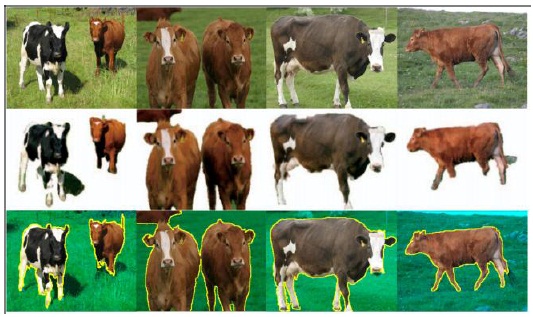 Examples of representative segmentation results on the VOC2006 cow images. From top to down: Input images, results reported in [27], and our results.