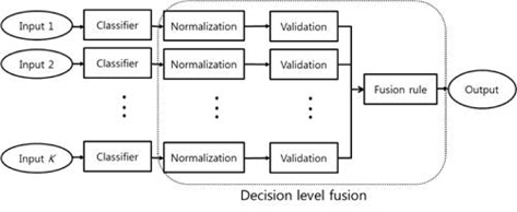 Block diagram showing decision-level fusion.