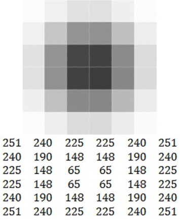 Gray-level image representation in the spatial domain.
