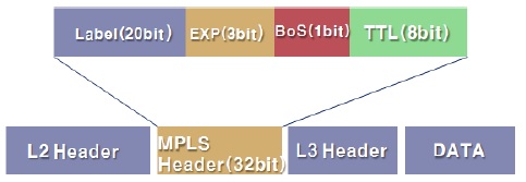 MPLS Header 구조