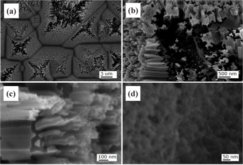 FESEM images of the Si solar cell sample nanotextured using a high concentration one-step process for the etching time of 1 min. Image (a) shows nanotextured pyramids, (b) shows an over-etched pyramid on the top area, (c) a hillside, and (d) a valley area.