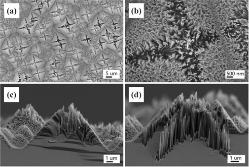 FESEM images of the Si solar cell sample nanotextured using a high concentration one-step process for the etching time of 30 sec. Image (a) shows nanotextured pyramids, (b) a shallow-etched pyramid on the top area, and (c) a cross-sectional view of the (110) directional cutting plane, and (d) the same cross-sectional view with two etching wedges in the <100> direction by forming nanowires.
