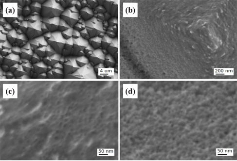 FESEM images of the Si solar cell sample nanotextured using a low concentration two-step process for the etching time of 30 sec. Image (a) shows nanotextured pyramids, (b) a roughly etched pyramid on the top area, (c) a hillside, and (d) a valley area.