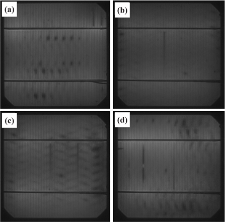 EL images of the 6" Si solar cells after the low concentration fabrication process. Images (a), (b), (c), and (d) show the reference cell, the cells nanotextured using the one-step process for 5 min, the two-step process for 30 sec, and the two-step process for 90 sec, respectively.