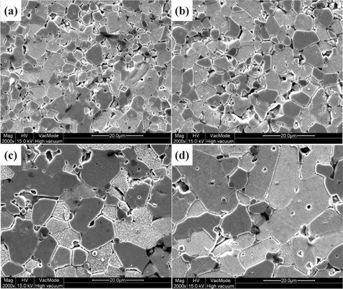 SEM micrograph of the varistor samples sintered at different temperatures: (a) 875℃, (b) 900℃, (c) 925℃, and (d) 950℃.