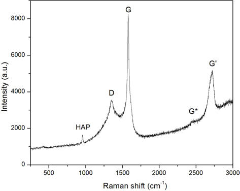 Raman spectrum of hydroxyapatite/graphene (HAP/Gr) composite powder.