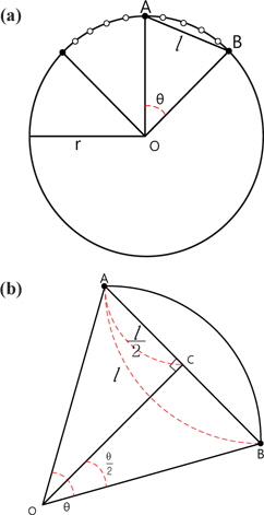 Calculation diagram of the maximum illuminance. (a) Illuminance and (b) beam angle.
