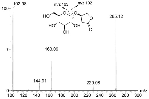 Product ion mass spectrum of kinsenoside.