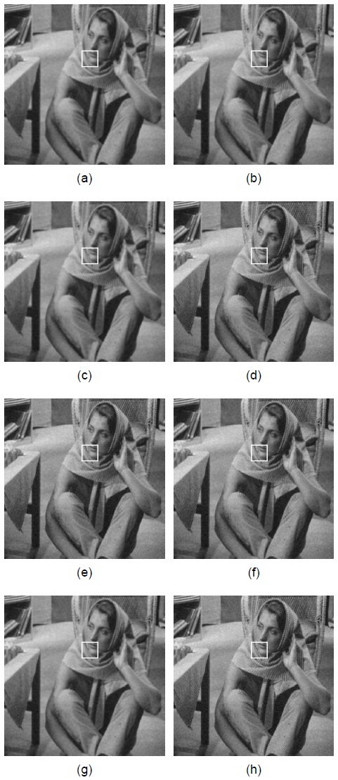 Barbara 영상에 대한 시뮬레이션 결과 (a) MF(5×5) (b) A-TMF(5×5) (c) AWMF(5×5) (d) MF (3×3) (e) A-TMF (3×3) (f) AWMF(3×3) (g) GF(5×5) (h) PFA(3×3)