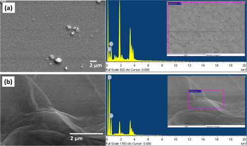 SEM images and corresponding EDAX spectrum of the composite film prepared on ITO substrate; (a) MeH-PPV and (b) MeH-PPV:GO composite film.