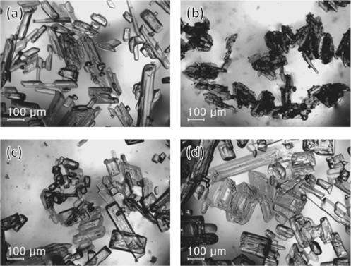 Video microscope images of crystals separated from precipitating 35 wt% K2CO3 solution (a) without additive, with (b) 10 wt% AMP, (c) 10 wt% AMPD, (d) 10 wt% AHPD.