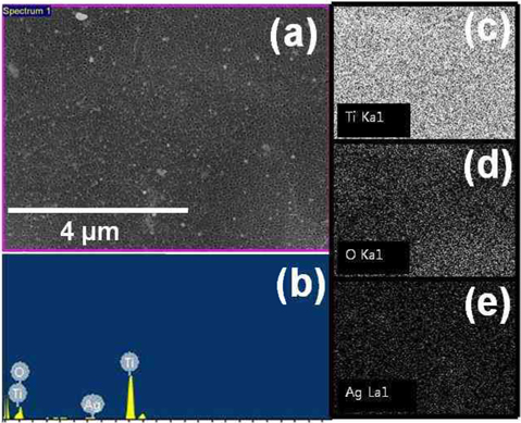 Scanning electron microscopy micrographs of (a) surface area and (b) energy dispersion X-ray spectra: the X-ray mapping shows the distribution of the chemical composition of (c) Ti, (d) O, and (e) Ag in the surface of the TiO2 nanotubes deposited with Ag NPs.