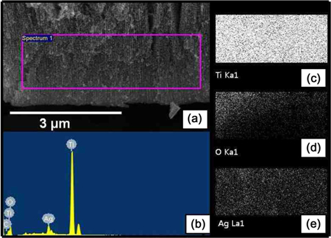 Scanning electron microscopy micrographs of (a) cross-sectional area and (b) energy dispersion X-ray spectra: the X-ray mapping shows the distribution of the chemical composition of (c) Ti, (d) O, and (e) Ag in the TiO2 nano-tubular cross-sectional area with Ag NPs.