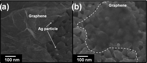 Scanning electron microscopy images of (a) Ag/TiO2 NT covered with graphene by electrodeposition, and (b) partially deposited graphene (marked by the dashed line).