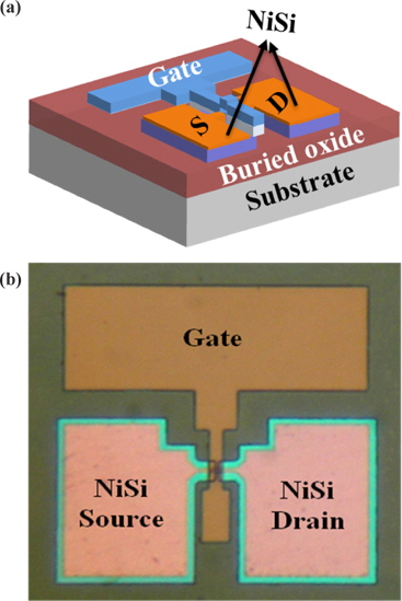 (a) Schematic structure and (b) optical image of fabricated LTPS NVM cell with sputtered ONO and SB S/D using Ni silicide.