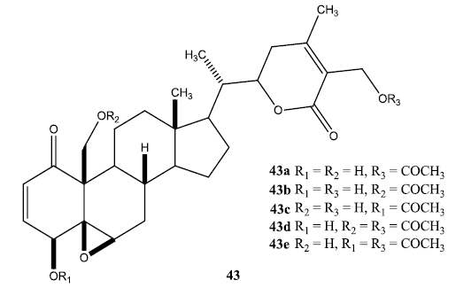 Acetylated Derivatives of Withalongolide-A (43a-e).