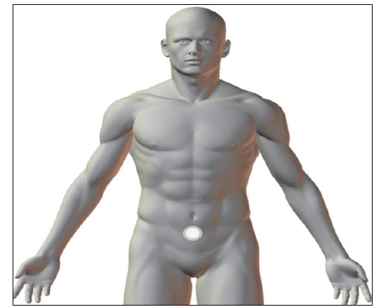 Anatomical position for wearing the Placebo or the Y-Age Aeon Patch on CV6 acupuncture point