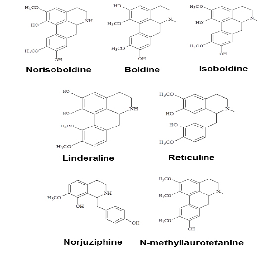 Chemical structures of major isolated products from total a lkaloids. The structures were identified by comparing their ESI-M S, 1H-NMR (400/500 MHz) and 13C-NMR (100/125 MHz) data. The identity of these chemicals have been reported in literatures. Due to the same functional group -- isoquionline in all alkaloids, they were called isoquinoline alkaloids (Chou et al., 2005). The 1H, 13C-spectra and ESI-MS spectra are shown in Appendix.
