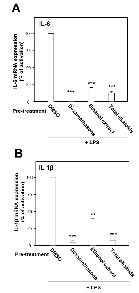 Effects of ethanol extract and total alkaloids from Lindera Radix on mRNA expression of LPS-induced cytokines on macrophage cells. Macrophage RAW 264.7 cells were pre-treated with 30 μg/ml of the ethanol extract or total alkaloids, respectively. Dexamethasone at 30 μM was selected as positive control. After 3 hours of the treatment, LPS (0.1 μg/ml) was applied. Then, the cultured cells were incubated for 20 hours, and the mRNA expression of IL-6 (A) and IL-1β (B) were detected by qPCR. GAPDH was used as the internal control. Values were expressed as the percentage of activation against negative control in Mean ± SD, n = 3. *where p < 0.05, **where p < 0.01.