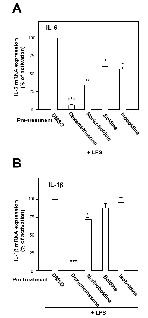 Effects of three isoquinoline alkaloids on mRNA expression of LPS-induced cytokines on macrophage cells. Macrophage RAW 264.7 cells were pre-treated with 30 μM of the alkaloids, e.q. norisoboldine, boldine, isoboldine. Dexamethasone at 30 μM was selected as positive control. After 3 hours of the treatment, LPS (0.1 μg/ml) was applied. Then, the cultured cells were incubated for 20 hours, and the mRNA expression of IL-6 (A) and IL-1β (B) were detected by qPCR. GAPDH was used as the internal control. Values were expressed as the percentage of activation against negative control in Mean ± SD, n = 3. * where p < 0.05, **where p < 0.01.