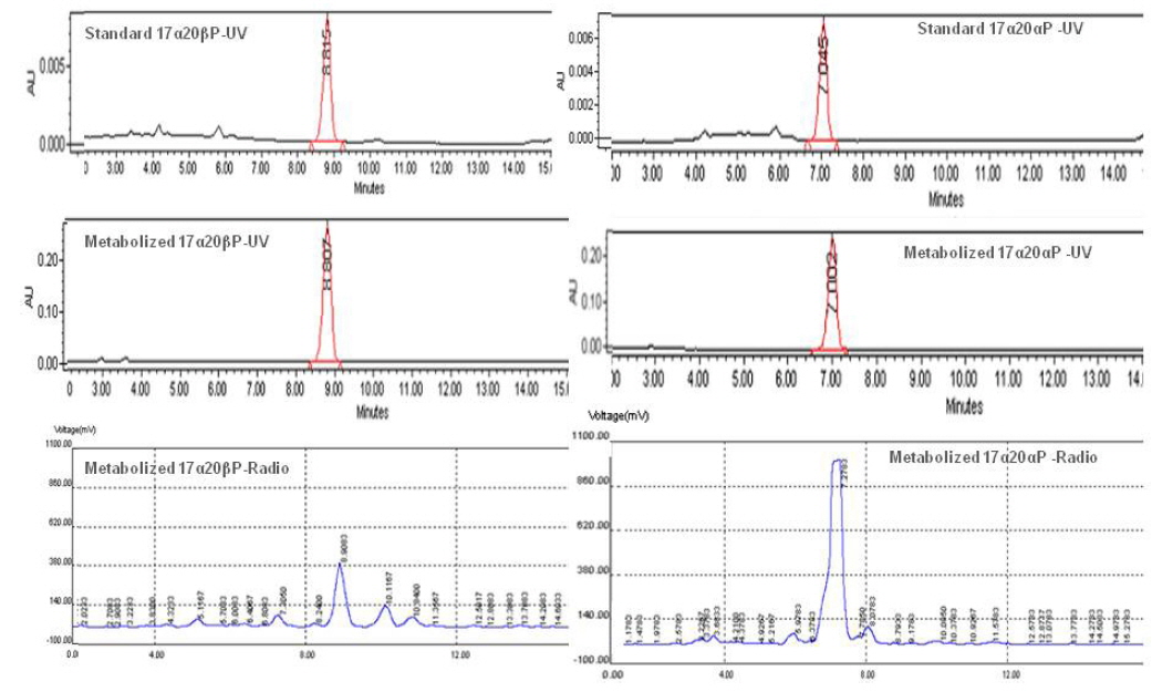 HPLC elution profile of the standard steroid and metabolites. 17α20αP, 17α,20α-dihydroxy-4-pregen-3-one (right); 17α20βP, 17α20β-dihydroxy-4-pregnen-3-one (left).