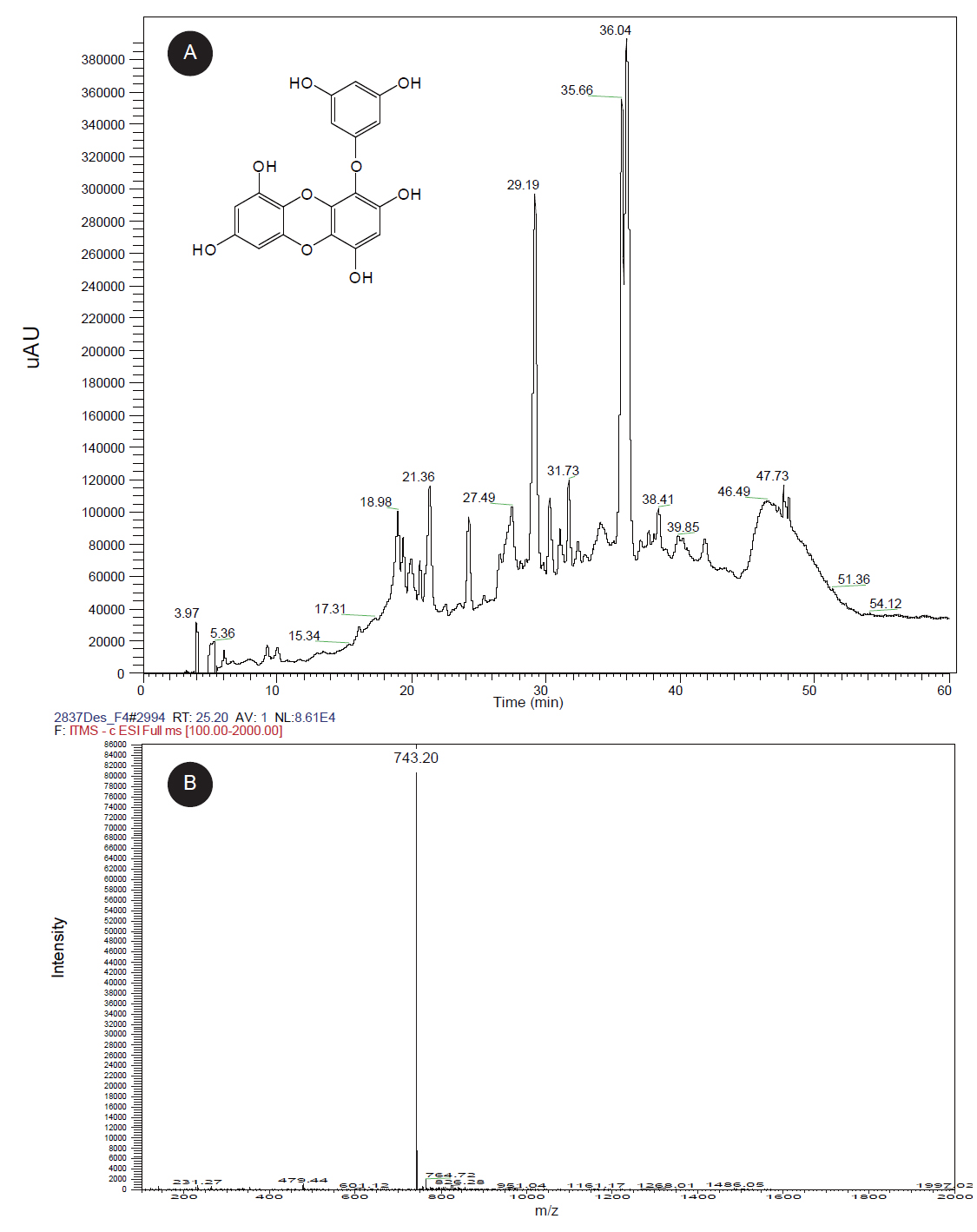 HPLC chromatogram (A) and ESI-MS spectra (B) of the 70% EtOH extracts from Ecklonia cava.
