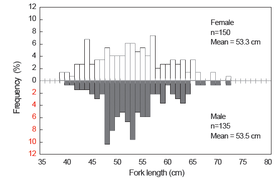 Length-frequency distributions of Katsuwonus pelamis collected in the Western and Central Pacific Ocean.