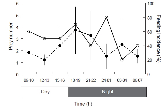 Diel changes in the number of prey per larva (●) with standard deviation (vertical bar) and feeding incidence (○) of Clupea pallasii in the Nakdong River estuary.