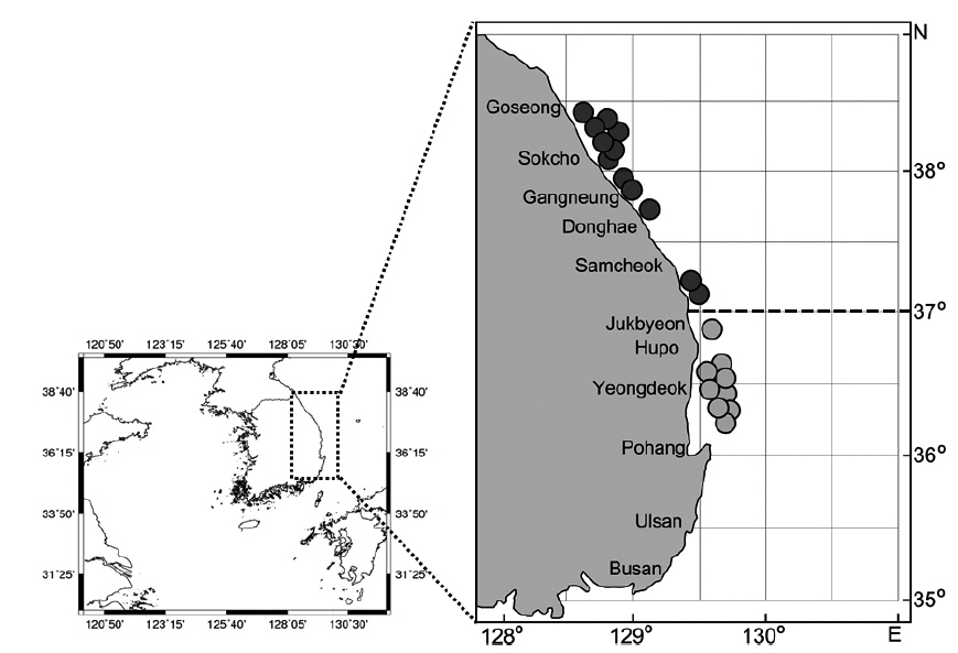Map showing the stations of Danish seine survey in the East Sea from 2011 to 2013. The dot line denotes the boundary between the middle and the southern areas of the study area.