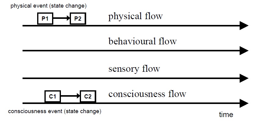 A flow-chain (from Greco, 2006)