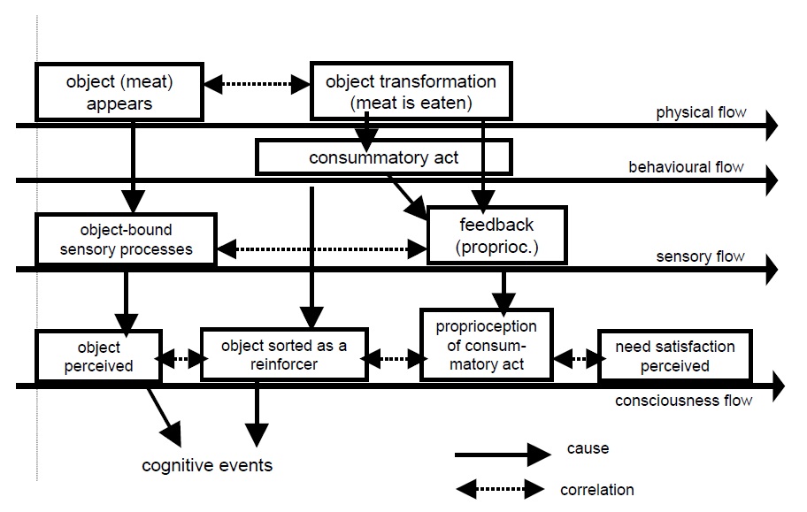 A multidisciplinary model of “reinforcement” (from Greco, 2006)