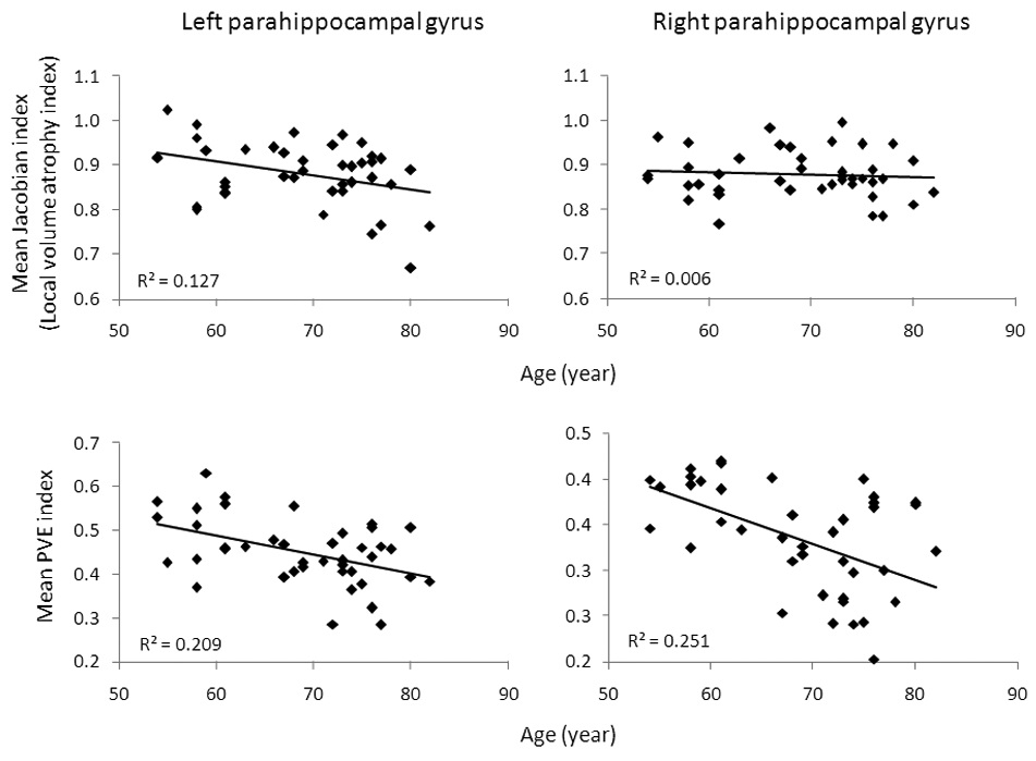 Correlations between the mean Jacobian index and PVE index with age in the left and right parahippocampal gyrus. A Pearson correlation analysis revealed a significantly negative correlation between the mean Jacobian index and age in the left (but not the right) parahippocampal gyrus. There were significantly negative correlations between the mean PVE index and age in both the left and right parahippocampal gyrus.