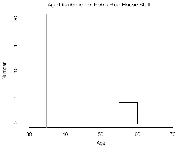 Age Distribution of the Blue House Staff of the Roh Moo-hyun Administration